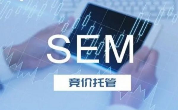 SEM竞价托管的成功案例分享：见证业绩飞跃